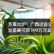 方案出炉!广西这些企业最高可获300万元奖励(图4) 方案出炉!广西这些企业最高可获300万元奖励(图4)