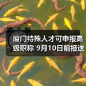厦门特殊人才可申报高级职称 9月10日前报送材料(图3) 厦门特殊人才可申报高级职称 9月10日前报送材料(图3)