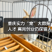重庆实力“宠”大数据人才 离岗创业仍保留人事关系（图1）