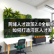 黄埔人才政策2.0全解析：如何打造湾区人才发展新高地？（图2）
