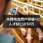 中国电竞用户突破4亿 人才缺口达50万（图3）