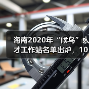 海南2020年“候鸟”人才工作站名单出炉，10家站点入选（图3）