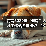 海南2020年“候鸟”人才工作站名单出炉，10家站点入选（图1）