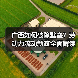 广西如何破除壁垒?劳动力流动新政全面解读(图1) 广西如何破除壁垒?劳动力流动新政全面解读(图1)