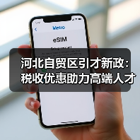 河北自贸区引才新政：税收优惠助力高端人才集聚（图4）