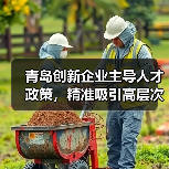 青岛创新企业主导人才政策，精准吸引高层次人才（图1）