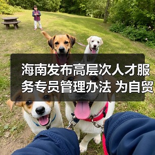 海南发布高层次人才服务专员管理办法 为自贸港建设集(图3) 海南发布高层次人才服务专员管理办法 为自贸港建设集(图3)