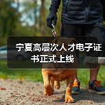 宁夏高层次人才电子证书正式上线(图2) 宁夏高层次人才电子证书正式上线(图2)