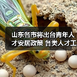 山东各市将出台青年人才安居政策 各类人才工程中增加(图1) 山东各市将出台青年人才安居政策 各类人才工程中增加(图1)