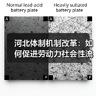 河北体制机制改革:如何促进劳动力社会性流动?(图2) 河北体制机制改革:如何促进劳动力社会性流动?(图2)