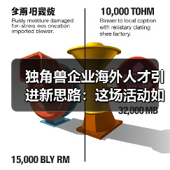 独角兽企业海外人才引进新思路:这场活动如何破局?(图2) 独角兽企业海外人才引进新思路:这场活动如何破局?(图2)