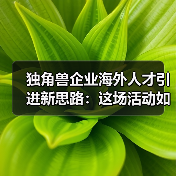 独角兽企业海外人才引进新思路:这场活动如何破局?(图3) 独角兽企业海外人才引进新思路:这场活动如何破局?(图3)