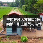 中国芯片人才缺口如何突破?引进挑战与技术瓶颈分析(图4) 中国芯片人才缺口如何突破?引进挑战与技术瓶颈分析(图4)