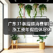 广东31条提振消费举措:涨工资年假应休尽休,促就业养老保障升级(图1) 广东31条提振消费举措:涨工资年假应休尽休,促就业养老保障升级(图1)