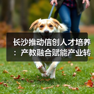 长沙推动信创人才培养:产教融合赋能产业转型(图3) 长沙推动信创人才培养:产教融合赋能产业转型(图3)