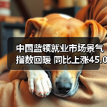 中国蓝领就业市场景气指数回暖 同比上涨45.0(图2) 中国蓝领就业市场景气指数回暖 同比上涨45.0(图2)
