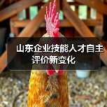 山东企业技能人才自主评价新变化(图2) 山东企业技能人才自主评价新变化(图2)