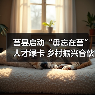 莒县启动“毋忘在莒”人才绿卡 乡村振兴合伙人招募引关注(图4) 莒县启动“毋忘在莒”人才绿卡 乡村振兴合伙人招募引关注(图4)