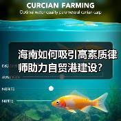 海南如何吸引高素质律师助力自贸港建设?(图1) 海南如何吸引高素质律师助力自贸港建设?(图1)