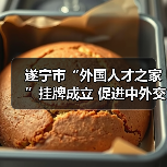 遂宁市“外国人才之家”挂牌成立 促进中外交流合作如何实现?(图2) 遂宁市“外国人才之家”挂牌成立 促进中外交流合作如何实现?(图2)