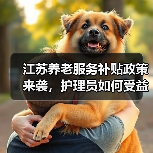 江苏养老服务补贴政策来袭,护理员如何受益?(图1) 江苏养老服务补贴政策来袭,护理员如何受益?(图1)