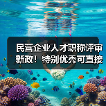 民营企业人才职称评审新政！特别优秀可直接申报副高（图1）