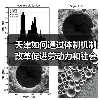 天津如何通过体制机制改革促进劳动力和社会性流动?(图1) 天津如何通过体制机制改革促进劳动力和社会性流动?(图1)