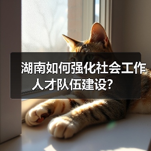 湖南如何强化社会工作人才队伍建设?(图2) 湖南如何强化社会工作人才队伍建设?(图2)