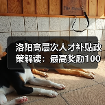 洛阳高层次人才补贴政策解读:最高奖励100万元!(图1) 洛阳高层次人才补贴政策解读:最高奖励100万元!(图1)