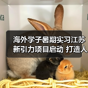 海外学子暑期实习江苏新引力项目启动 打造人才集聚新高地(图1) 海外学子暑期实习江苏新引力项目启动 打造人才集聚新高地(图1)
