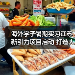 海外学子暑期实习江苏新引力项目启动 打造人才集聚新高地(图4) 海外学子暑期实习江苏新引力项目启动 打造人才集聚新高地(图4)