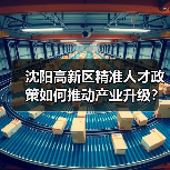 沈阳高新区精准人才政策如何推动产业升级？（图2）