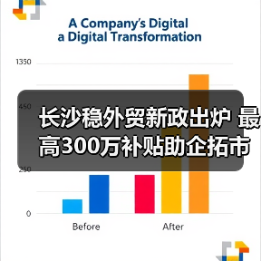 长沙稳外贸新政出炉 最高300万补贴助企拓市场（图4）