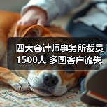 四大会计师事务所裁员1500人 多国客户流失引发行业震荡(图1) 四大会计师事务所裁员1500人 多国客户流失引发行业震荡(图1)