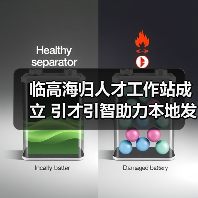 临高海归人才工作站成立 引才引智助力本地发展(图4) 临高海归人才工作站成立 引才引智助力本地发展(图4)