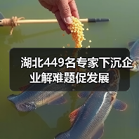 湖北449名专家下沉企业解难题促发展(图1) 湖北449名专家下沉企业解难题促发展(图1)