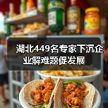 湖北449名专家下沉企业解难题促发展(图4) 湖北449名专家下沉企业解难题促发展(图4)