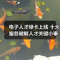 电子人才绿卡上线 十大服务破解人才关键小事（图3）