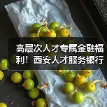 高层次人才专属金融福利!西安人才服务银行一站式解决方案(图2) 高层次人才专属金融福利!西安人才服务银行一站式解决方案(图2)