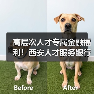 高层次人才专属金融福利!西安人才服务银行一站式解决方案(图1) 高层次人才专属金融福利!西安人才服务银行一站式解决方案(图1)