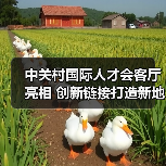 中关村国际人才会客厅亮相 创新链接打造新地标(图4) 中关村国际人才会客厅亮相 创新链接打造新地标(图4)