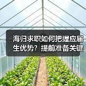 海归求职如何把握应届生优势？提前准备关键（图3）