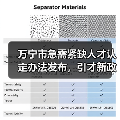 万宁市急需紧缺人才认定办法发布,引才新政如何助力经济发展?(图3) 万宁市急需紧缺人才认定办法发布,引才新政如何助力经济发展?(图3)