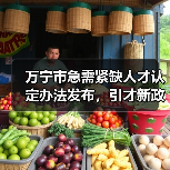 万宁市急需紧缺人才认定办法发布,引才新政如何助力经济发展?(图4) 万宁市急需紧缺人才认定办法发布,引才新政如何助力经济发展?(图4)