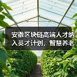 安徽区块链高端人才纳入英才计划，智慧养老与5G协同发展如何实现？（图2）