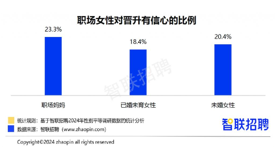 2024职场妈妈生存报告：晋升信心上涨，数字技能领先，家务与房贷压力加重，生育与丁克意愿分化(图1)